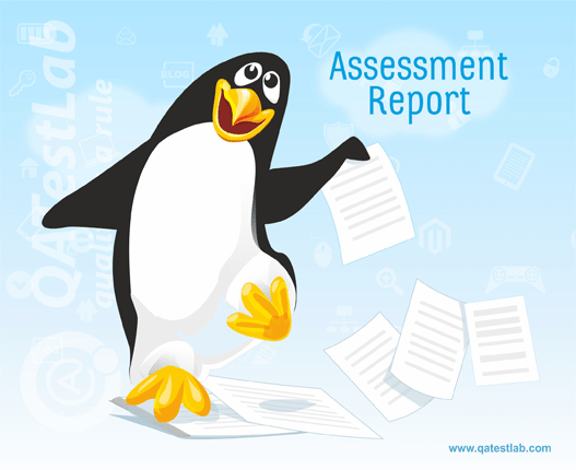 Assessment Report