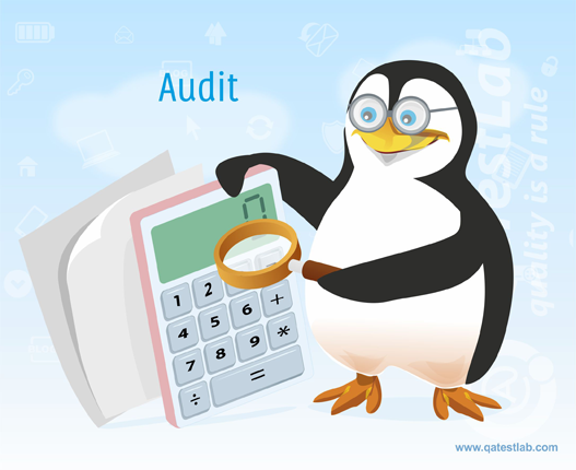 Audit Audit