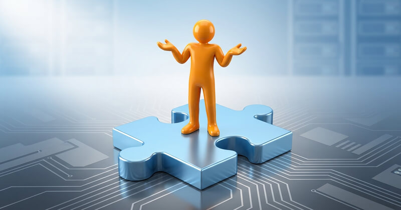 Advantages and Disadvantages of the Voluntarism in Software Testing