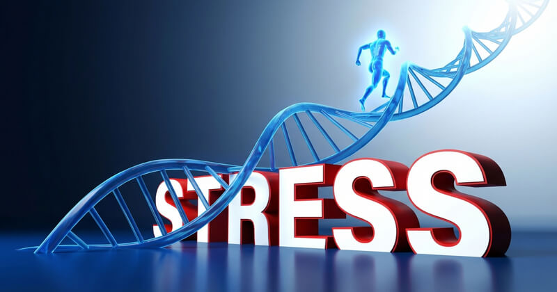 Three Pillars of Testing