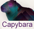 Capybara