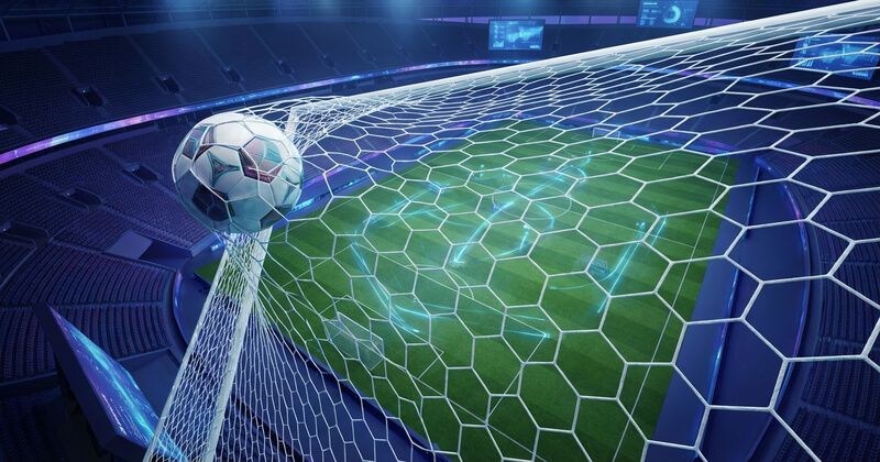 Setting Software Quality Purposes